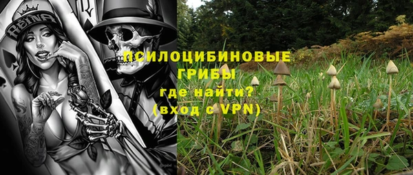 соль ск Пестово