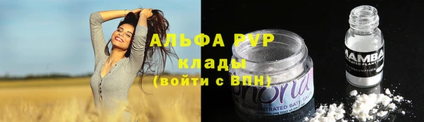 соль ск Пестово