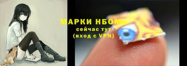 соль ск Пестово