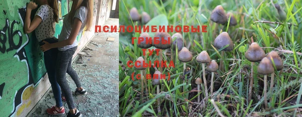трава Покров