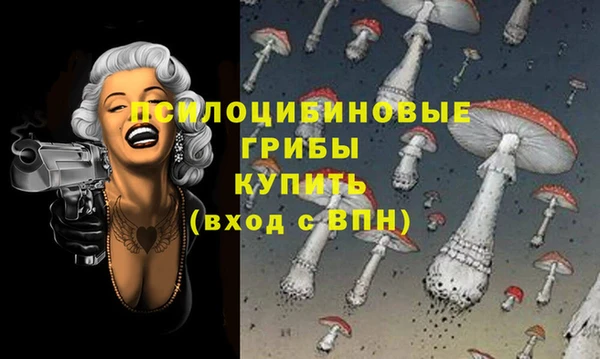 2c-b Переславль-Залесский