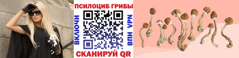 Псилоцибиновые грибы ЛСД  Богородск 