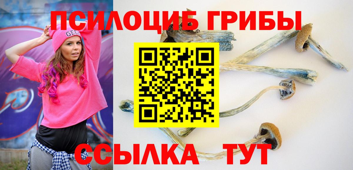 Галлюциногенные грибы мицелий Богородск