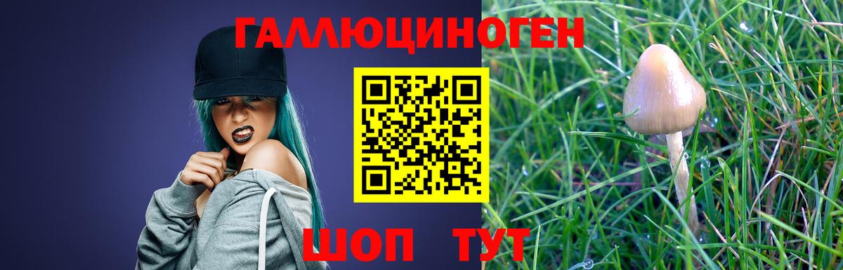 Псилоцибиновые грибы мухоморы Богородск