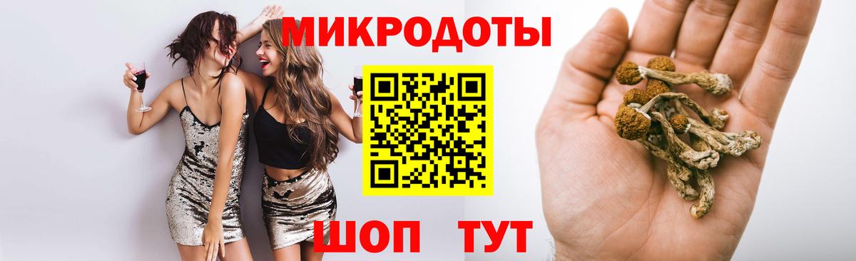 Богородск  купить наркоту  Вход с VPN  Псилоцибиновые грибы мицелий 
